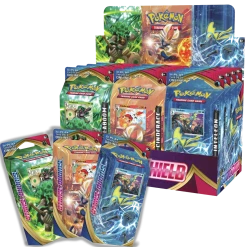 (ONLINE) DRAGON IMPORTS & COLLECTIBLES LLC Sword & Shield PokΓ©mon TCG: Theme Deck Games/TCG